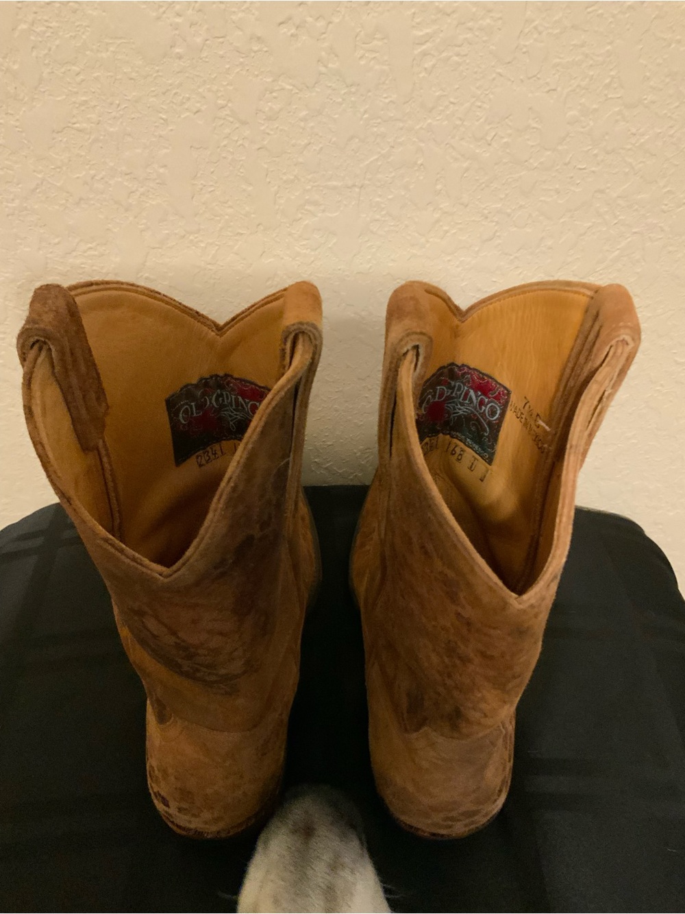 Old Gringo Leopardito Woman’s Boots - Picture 5 of 7
